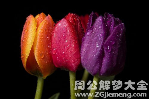 孕妇梦见送花给别人 孕妇梦见送花给别人