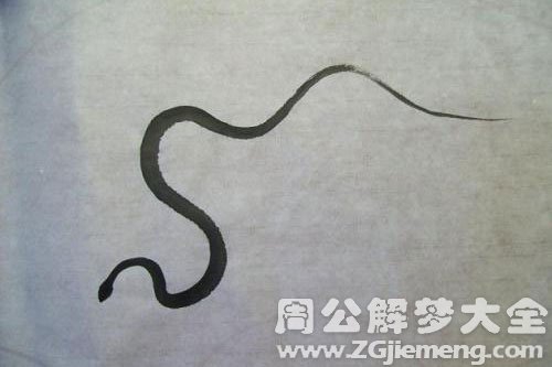 孕妇梦见龙变成蛇 孕妇梦见龙变成蛇