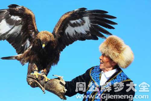 孕妇梦见雕 孕妇梦见雕