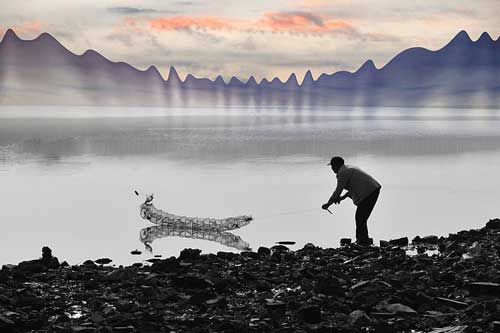 孕妇梦见别人抓鱼 孕妇梦见别人抓鱼