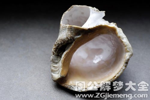 孕妇梦见吃海螺 孕妇梦见吃海螺