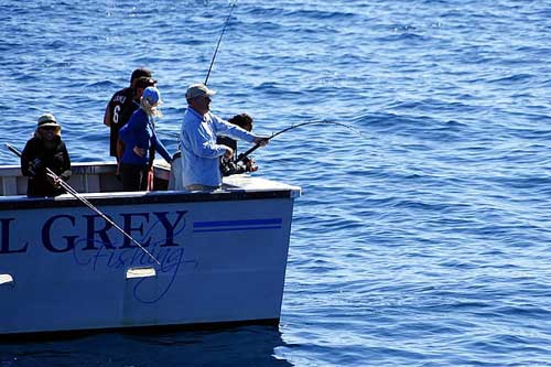 孕妇梦见抓小鱼 孕妇梦见抓小鱼