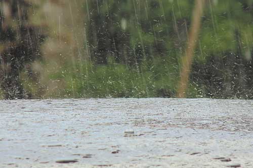 怀孕梦见下大雨 怀孕梦见下大雨
