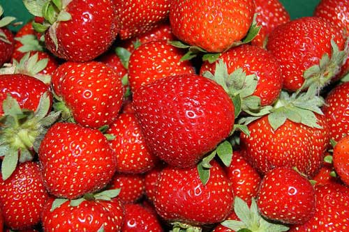 孕妇梦见草莓 孕妇梦见草莓