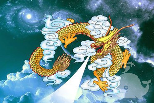 龙 龙