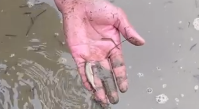 <a href=https://www.zgjmorg.vip/tag/mengjian/ target=_blank class=infotextkey>梦见</a>水5种<a href=https://www.zgjmorg.vip/tag/zhengzhao/ target=_blank class=infotextkey>征兆</a>要<a href=https://www.zgjmorg.vip/tag/facai/ target=_blank class=infotextkey>发财</a>