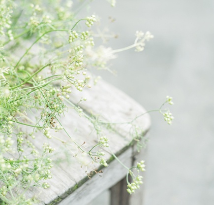 即将被好运砸中的生肖~也许就有你