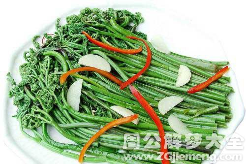 孕妇梦见蕨菜 孕妇梦见蕨菜