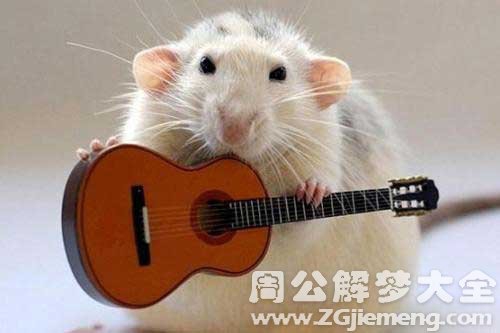 孕妇梦见生老鼠 孕妇梦见生老鼠