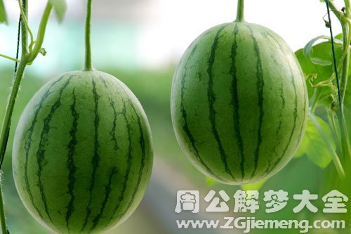 西瓜