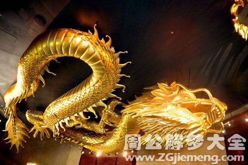 金龙 金龙
