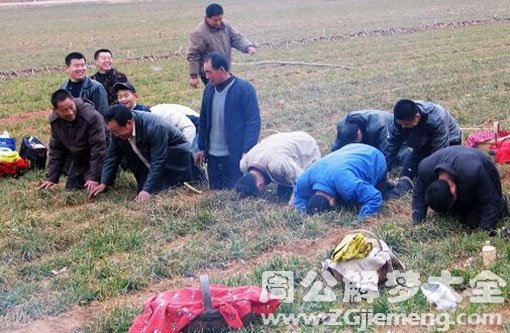 怀孕梦见上坟 怀孕梦见上坟