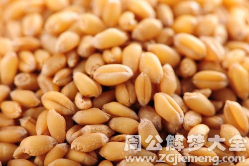 孕妇梦见麦粒 孕妇梦见麦粒