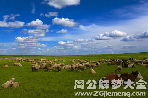 孕妇梦见牛羊 孕妇梦见牛羊