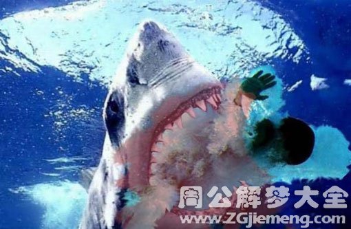 孕妇梦见被鲨鱼咬 孕妇梦见被鲨鱼咬
