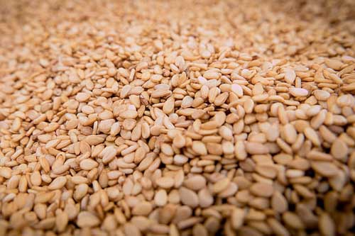 孕妇梦见芝麻 孕妇梦见芝麻