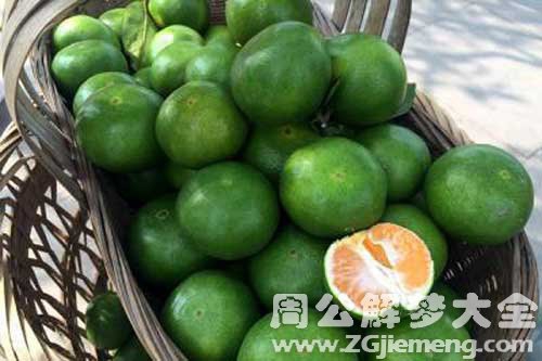 孕妇梦见青桔子 孕妇梦见青桔子