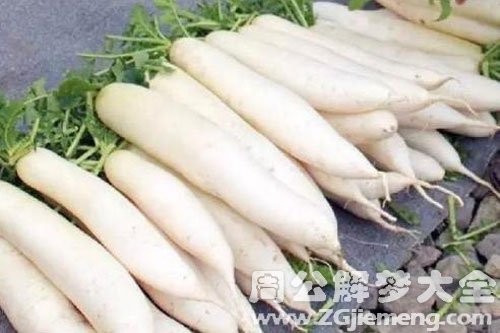 很多萝卜 很多萝卜