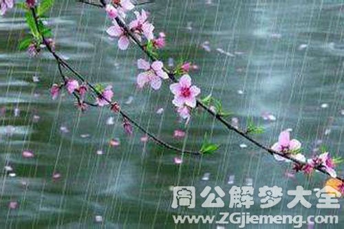 孕妇梦见雨水 孕妇梦见雨水