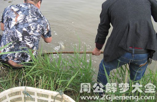 孕妇梦见捉鲫鱼 孕妇梦见捉鲫鱼