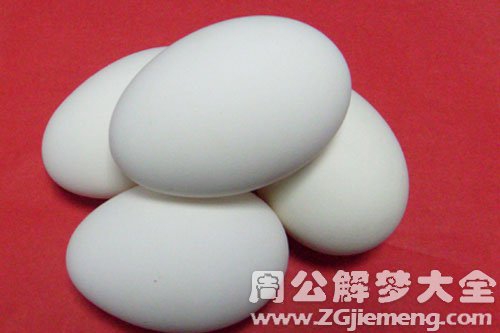 蛋 蛋